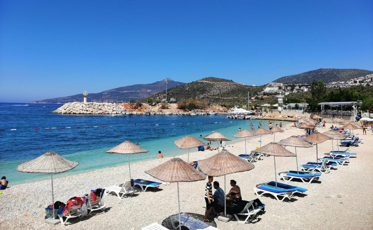 Kalkan